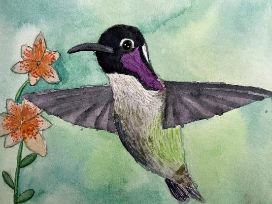 Watercolor
