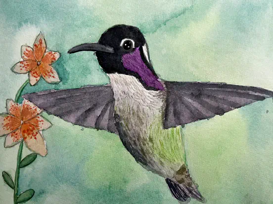 Watercolor